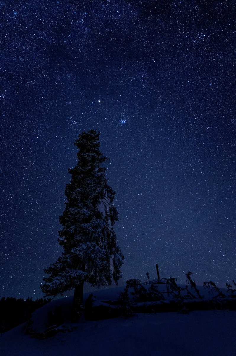 uhd2020's tweet photo. So many stars https://t.co/L39Dqpz3Sj