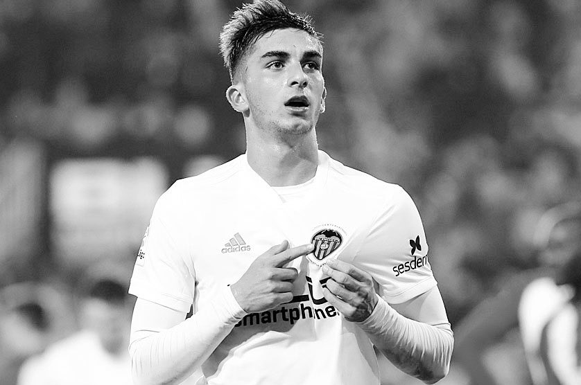 Alpaca Sniper 2% 🇪🇺 tweet media