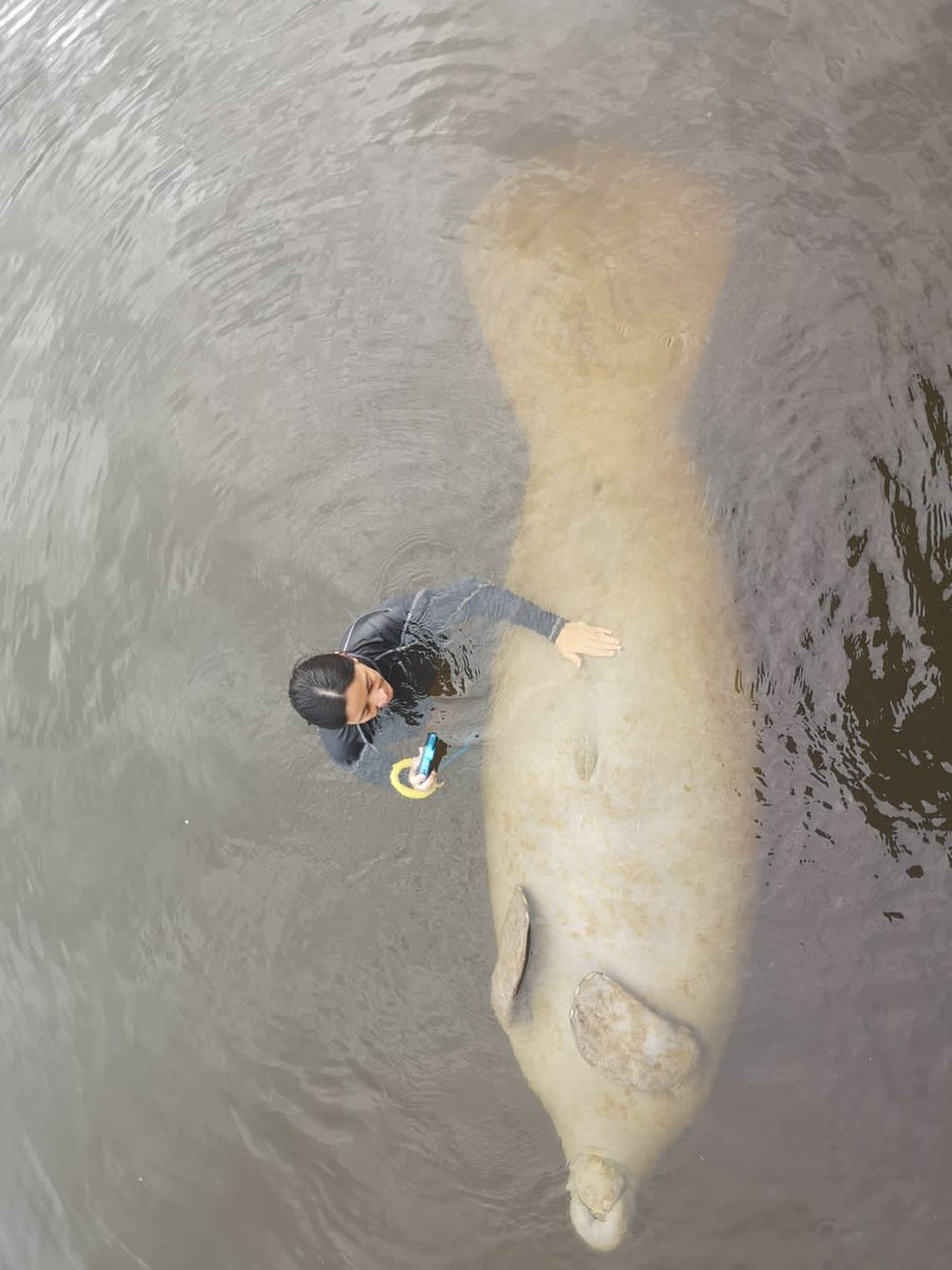 Soy mujer en la ciencia, disfruto y amo mi trabajo. Pero no desconozco que para nosotras, la academia representa más retos: misoginia estructural, acoso sexual y laboral,  brecha de género, y sacrificios para conciliar la academia y la maternidad. #diadelamujerylaniñaenlaciencia