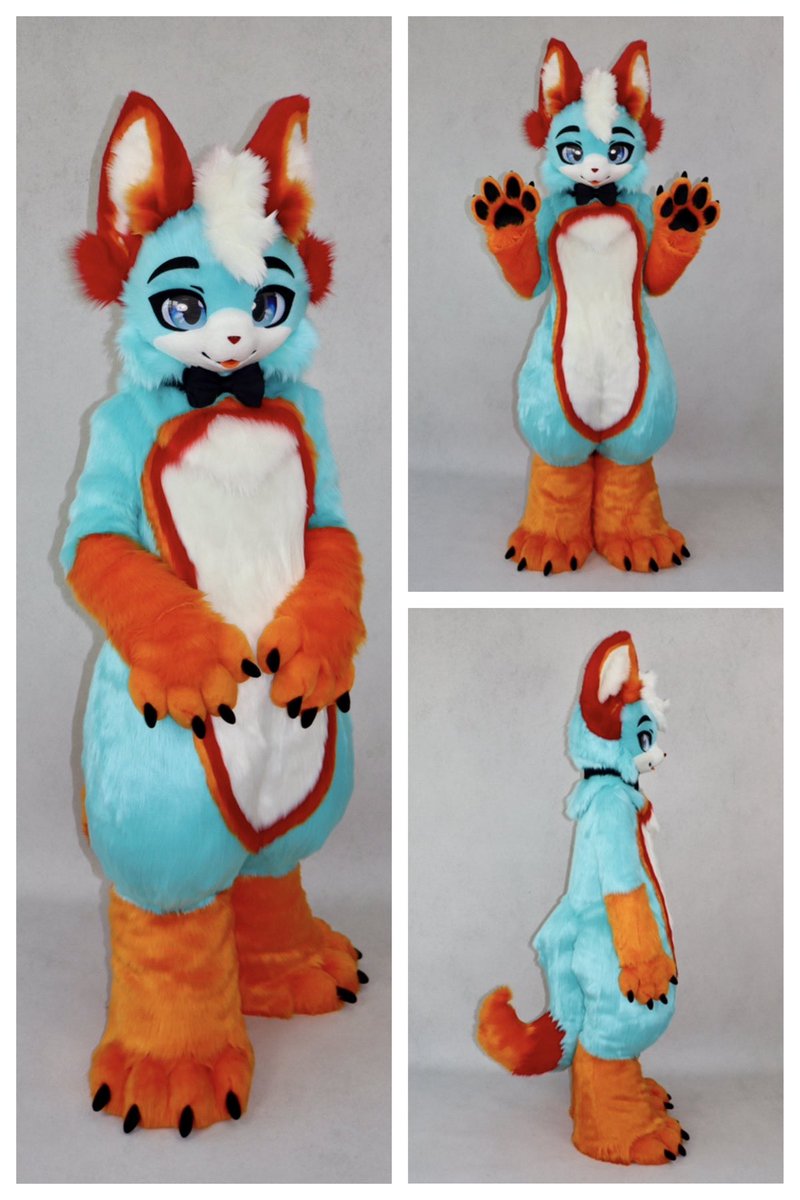 Maverick the Husky @ BWS tweet media