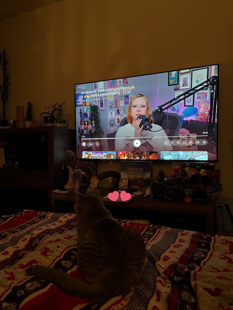 Yeni koltuk kedo hazretlerinin testinden gecti