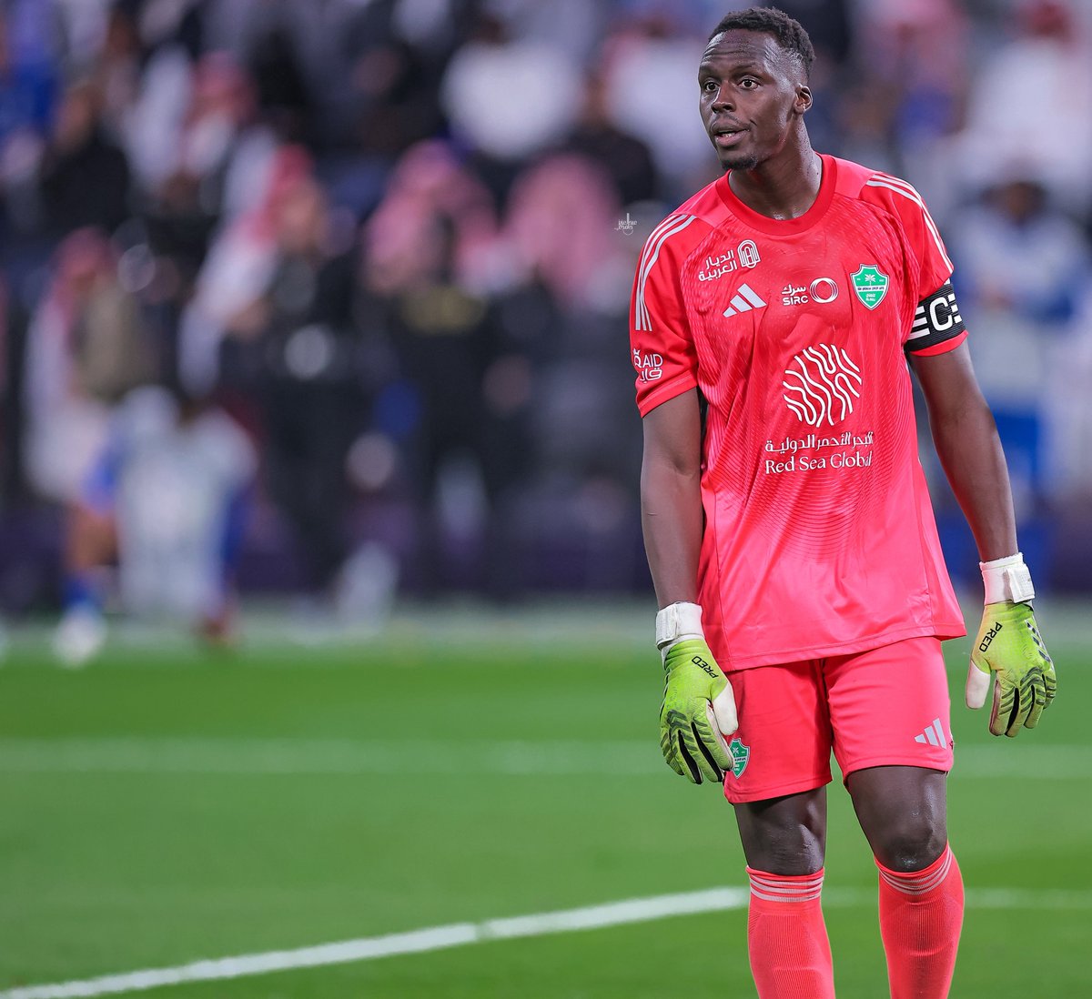 عبدالعزيز حامدي tweet media