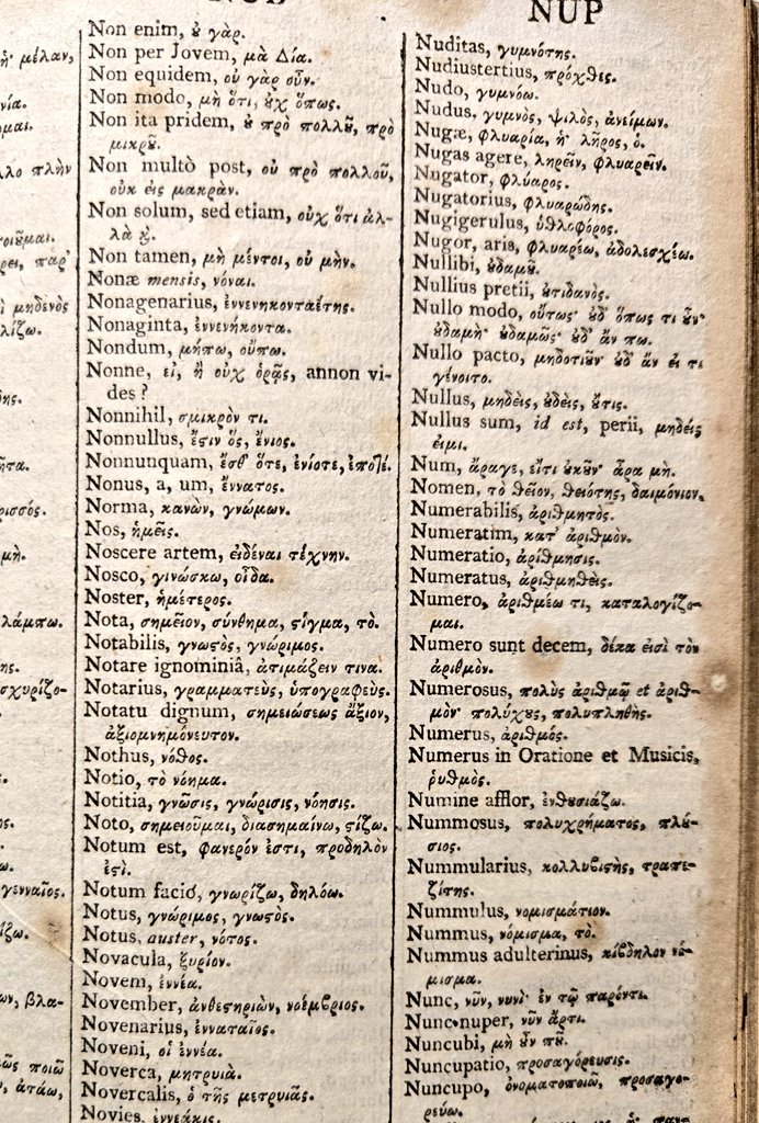 Not quite every day, just those with a "y" in, do I find the need to consult Schrevelius' Greek-Latin-Greek lexicon. Honestly worth its weight in gold!