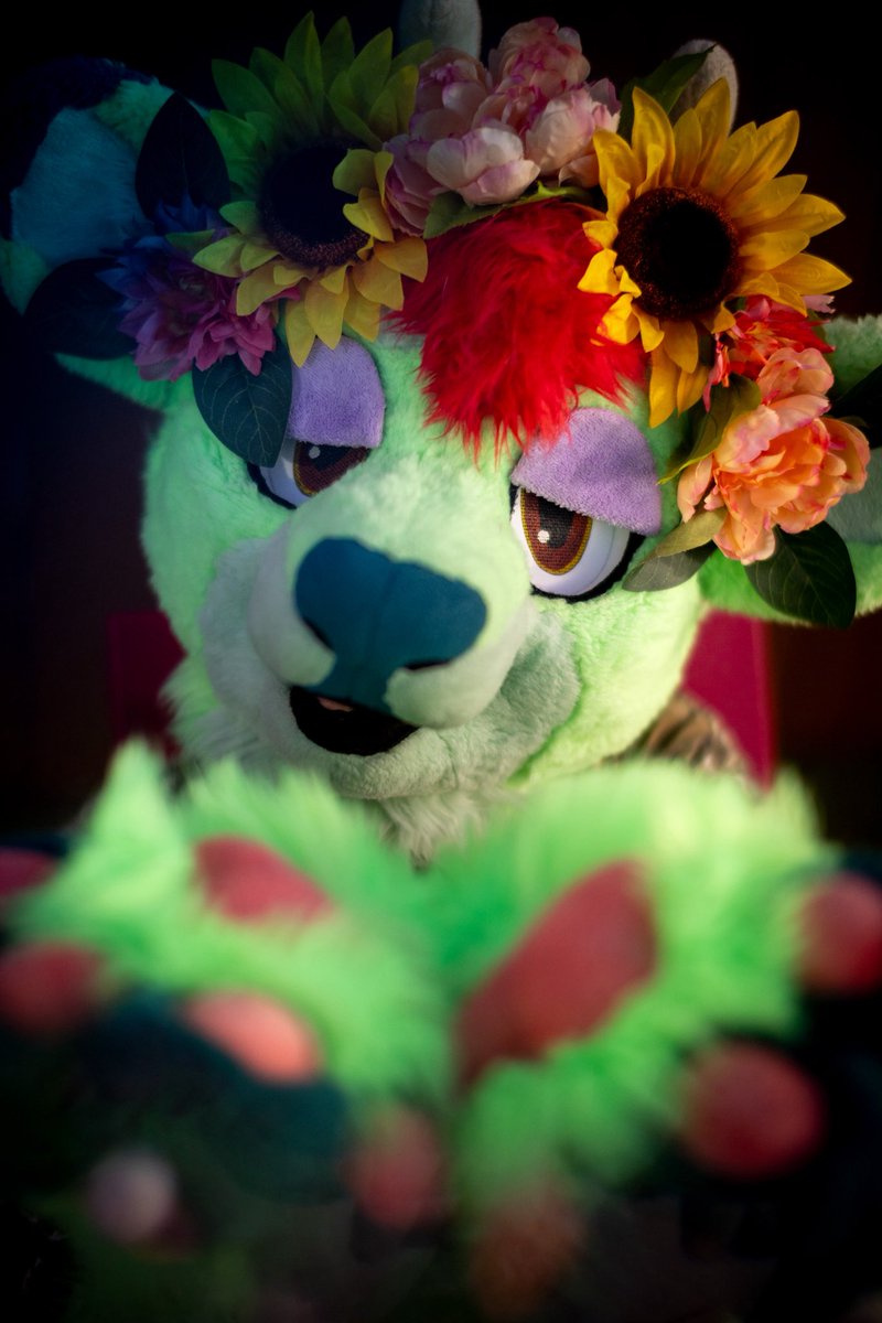 I miss y’all!!!!

📸<a href="/SydStoat/">Syd Stoat</a>