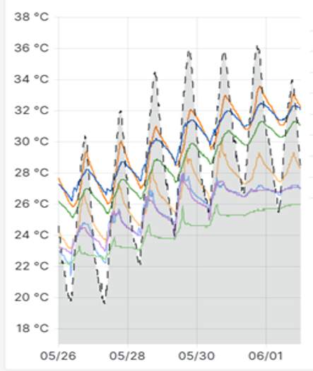 Beatriz Montalbán Pozas tweet media