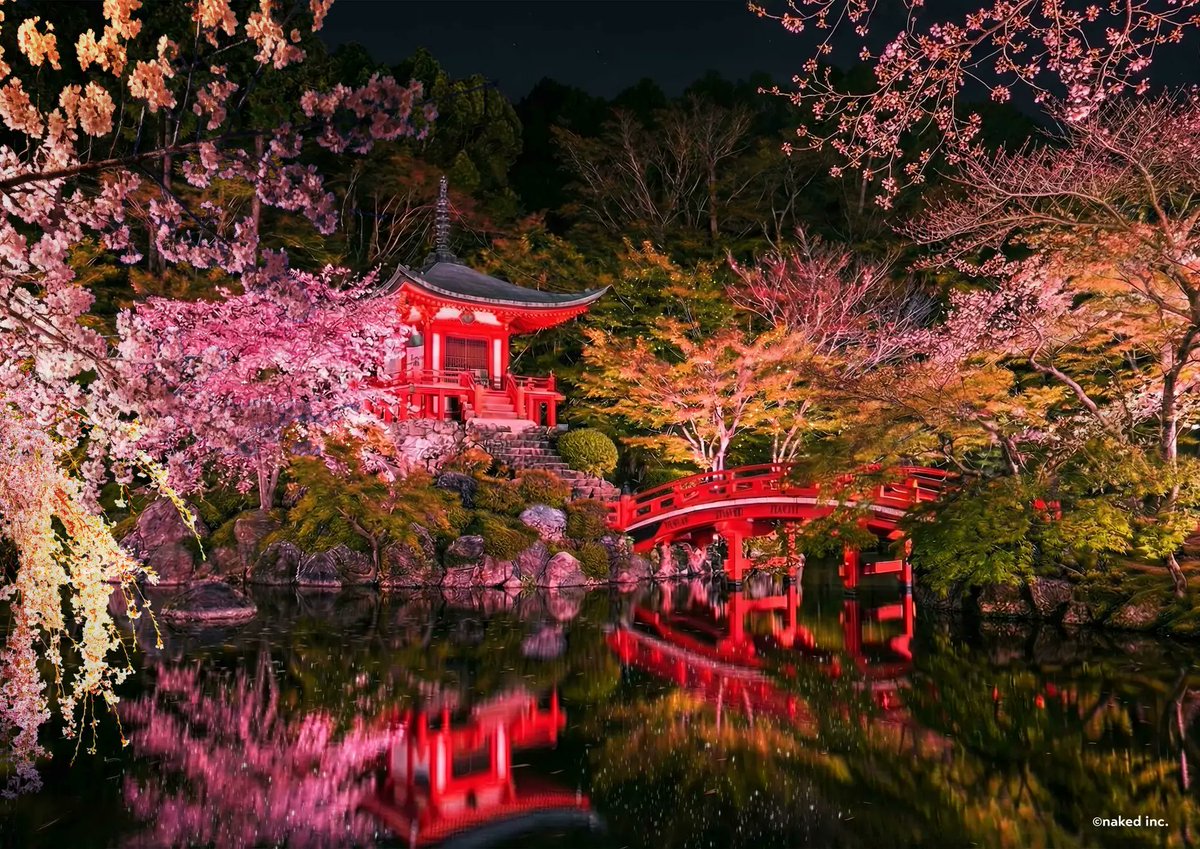 cocorume_event's tweet photo. 【京都・伏見区醍醐寺】
3月27日(金)～4月12日(日)まで
『NAKED meets 世界遺産 醍醐寺―醍醐花見―』
が開催されます✨
醍醐寺・伽藍エリアにて初開催となる本夜桜ライトアップです✨
公式HPはこちら↓
https://t.co/9BgdF6zrTb https://t.co/IAueBbk7V6