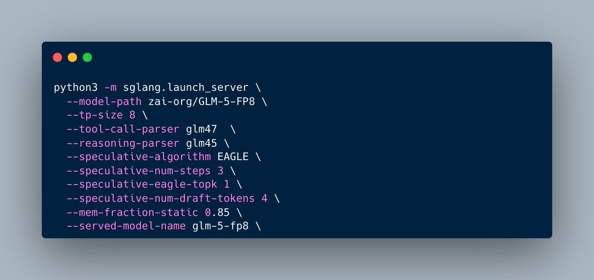 SGLang launch config