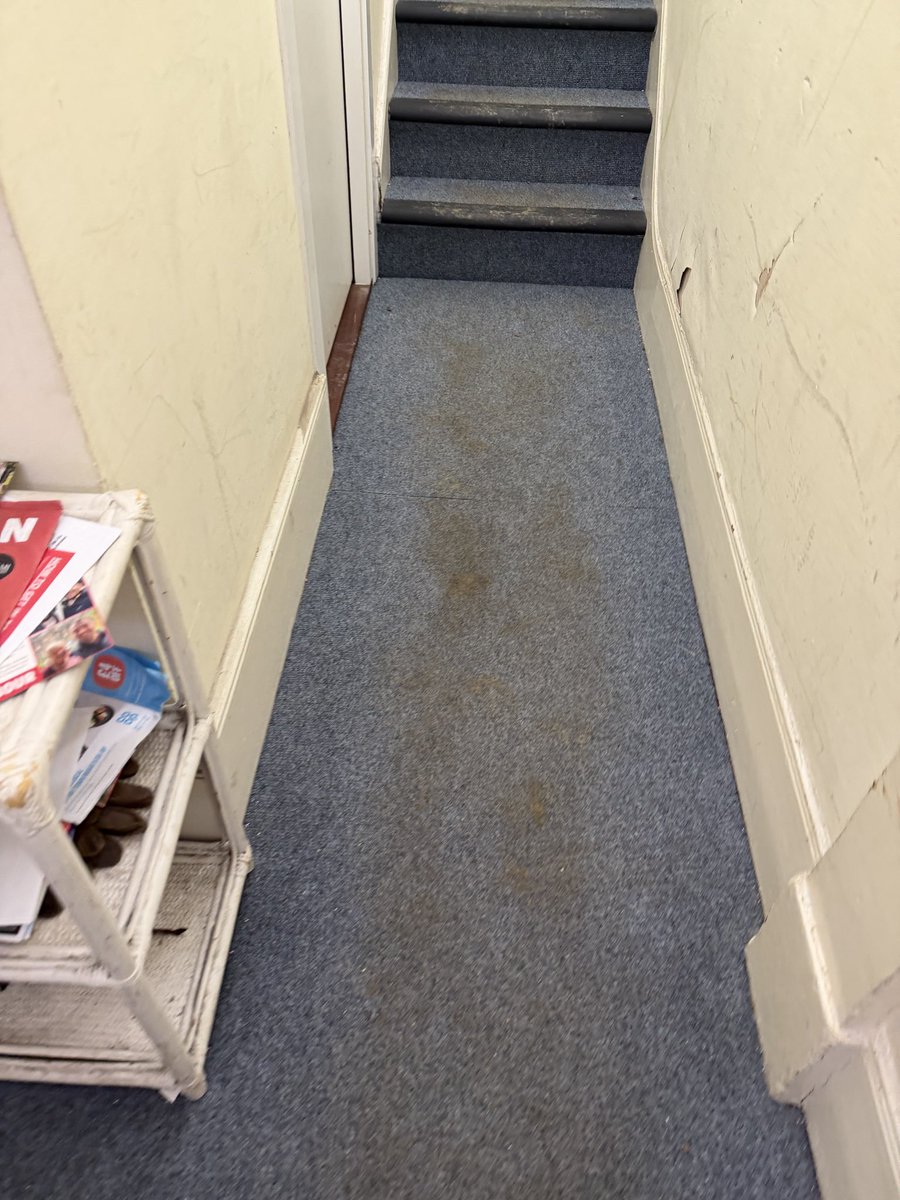 rachelparrattt's tweet photo. @CCRproperty 

To leave the property in this state is unacceptable and a disgrace.   Sort this out asap https://t.co/sns39k6Yur