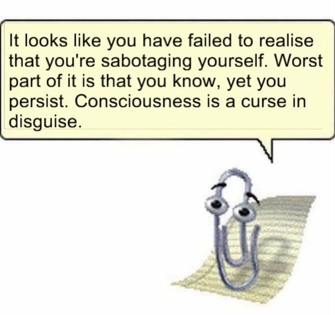consciousness is a curse in disguise