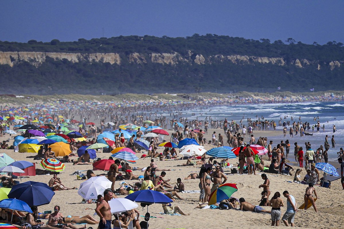 Fake Blood tweet media