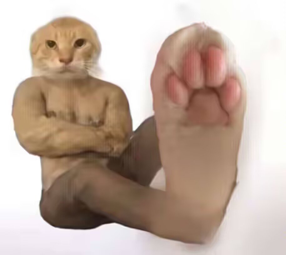 麦小鼠 tweet media