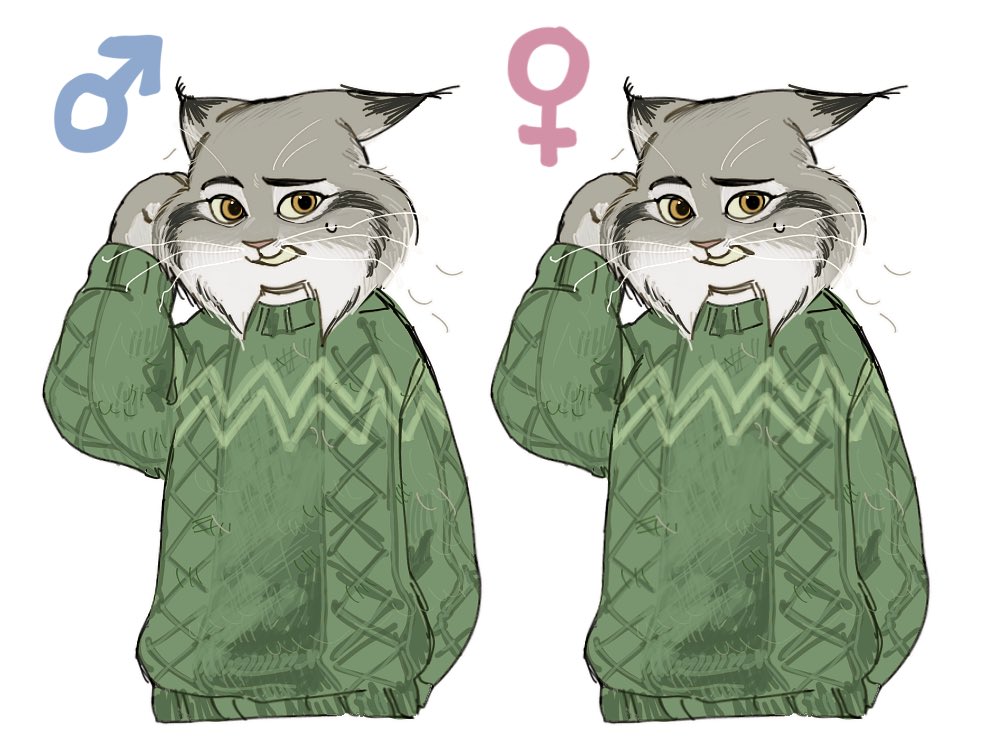 쿵푸를아십니까 tweet media