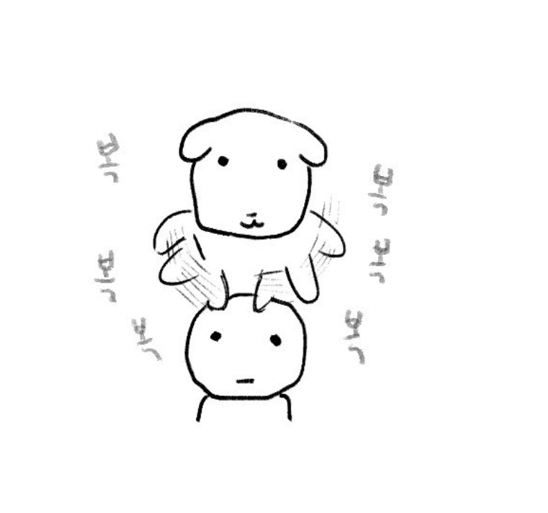 (*´꒳`*) (@h2xon_5) on Twitter photo 