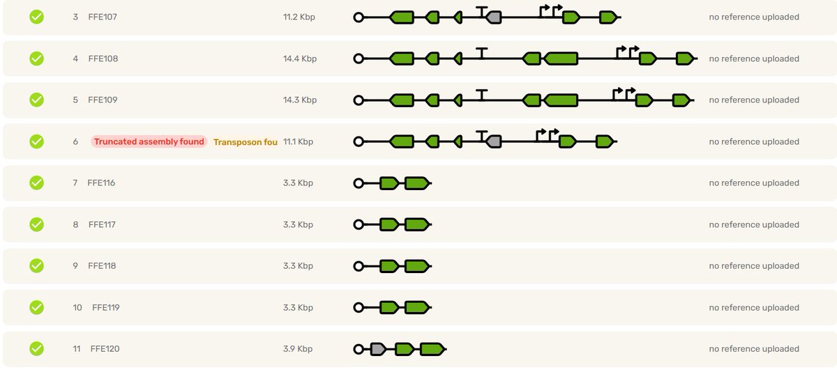 Sebastian S. Cocioba🪄🌷 tweet media