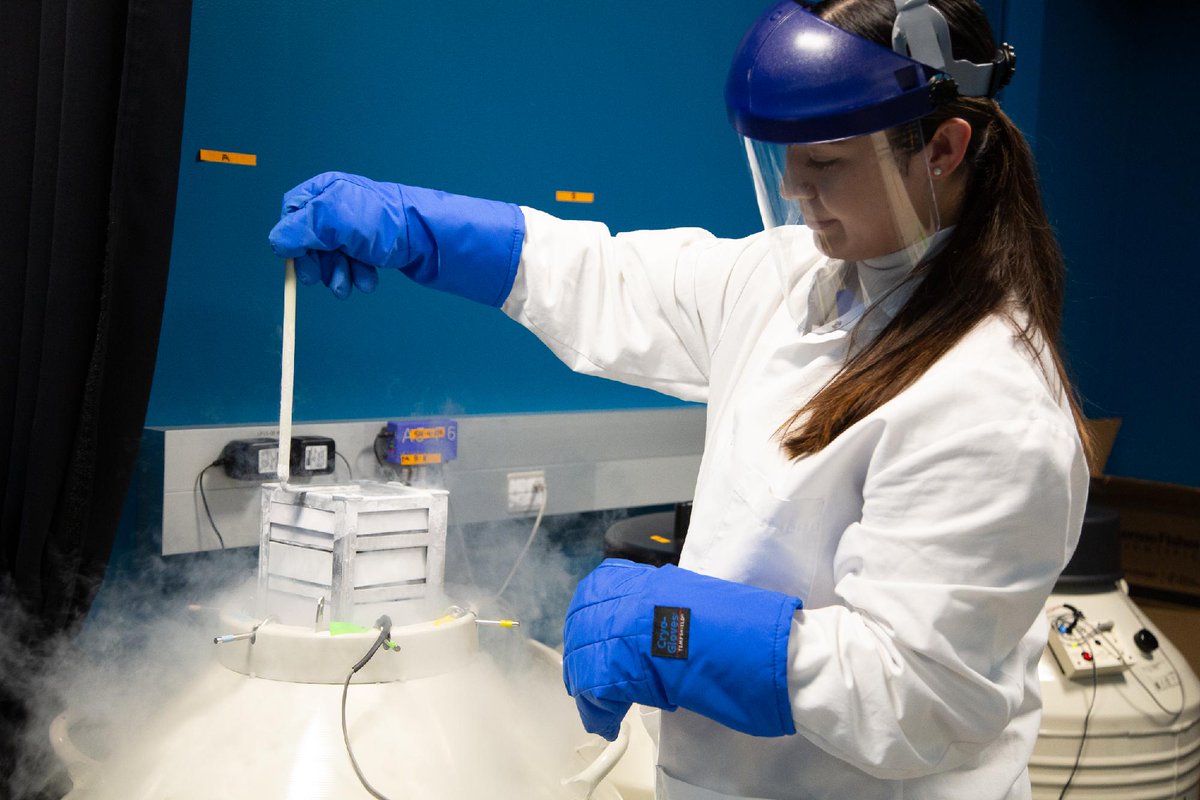 Allen Institute tweet media