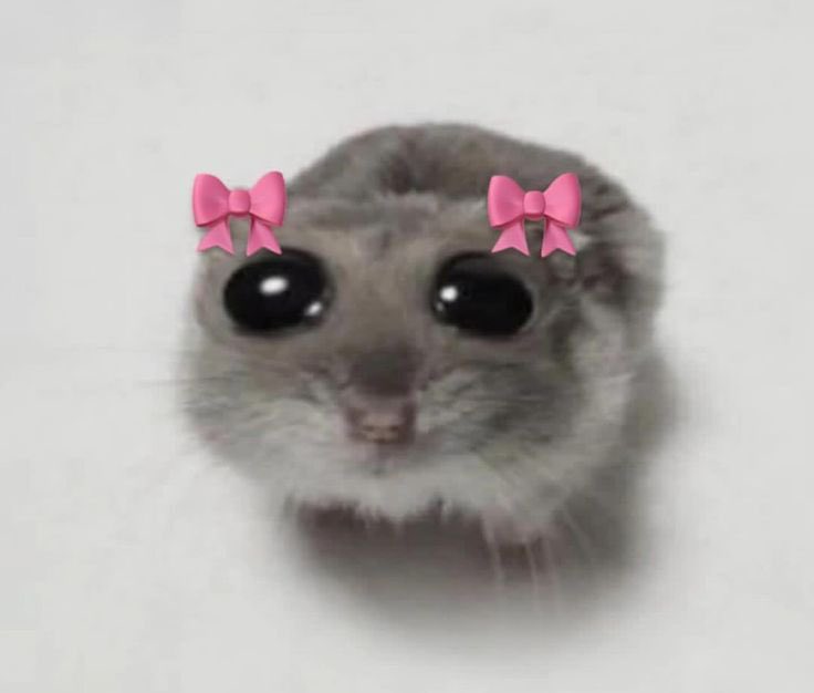 осфрид 🎲 tweet media