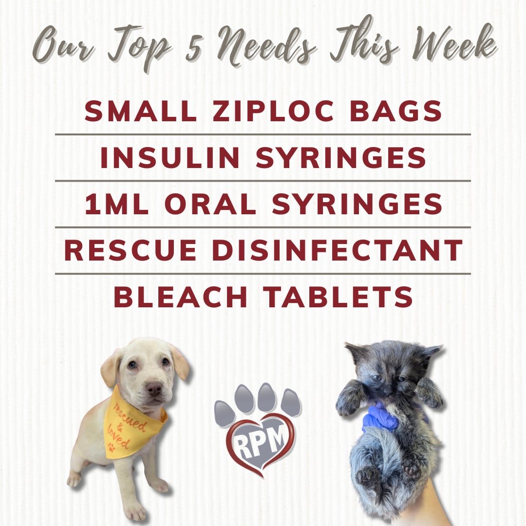 RescuedPetsMovement tweet media
