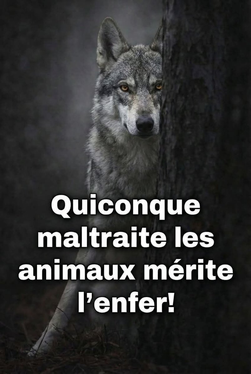 Adea Claude tweet media