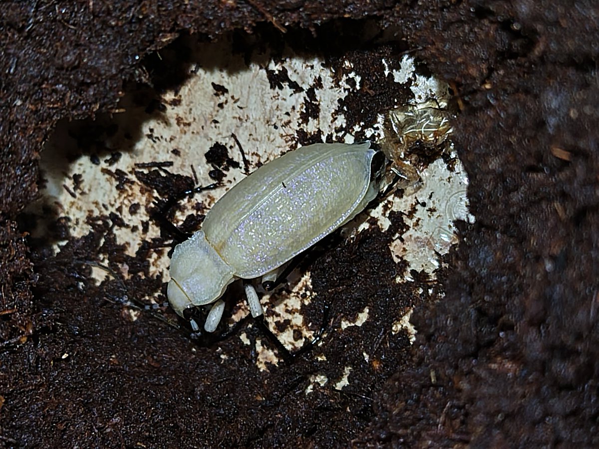 すんなりいった　寝る