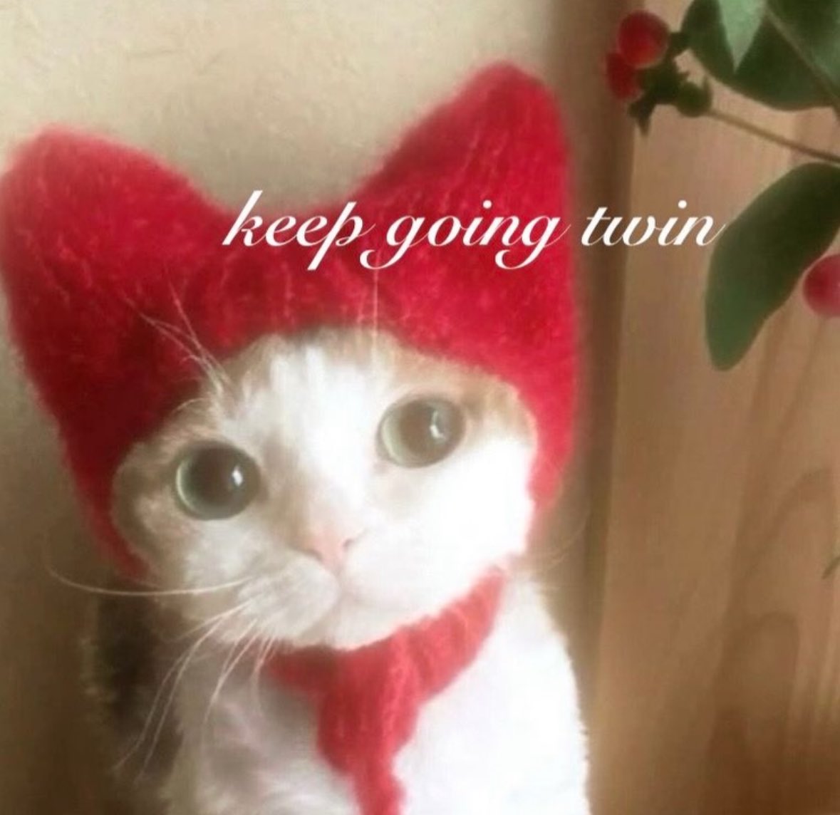 ✧ (@northstardoll) on Twitter photo 