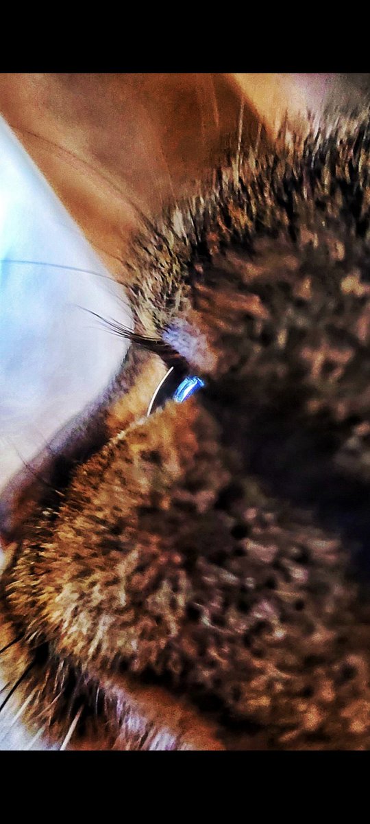 Ох вже ці дівчатка.
А вії, вії які🤌