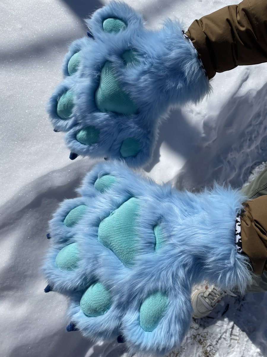 opossumcraft's tweet photo. The five finger paws are now finally home! 💙 https://t.co/fOAxlIxgvw