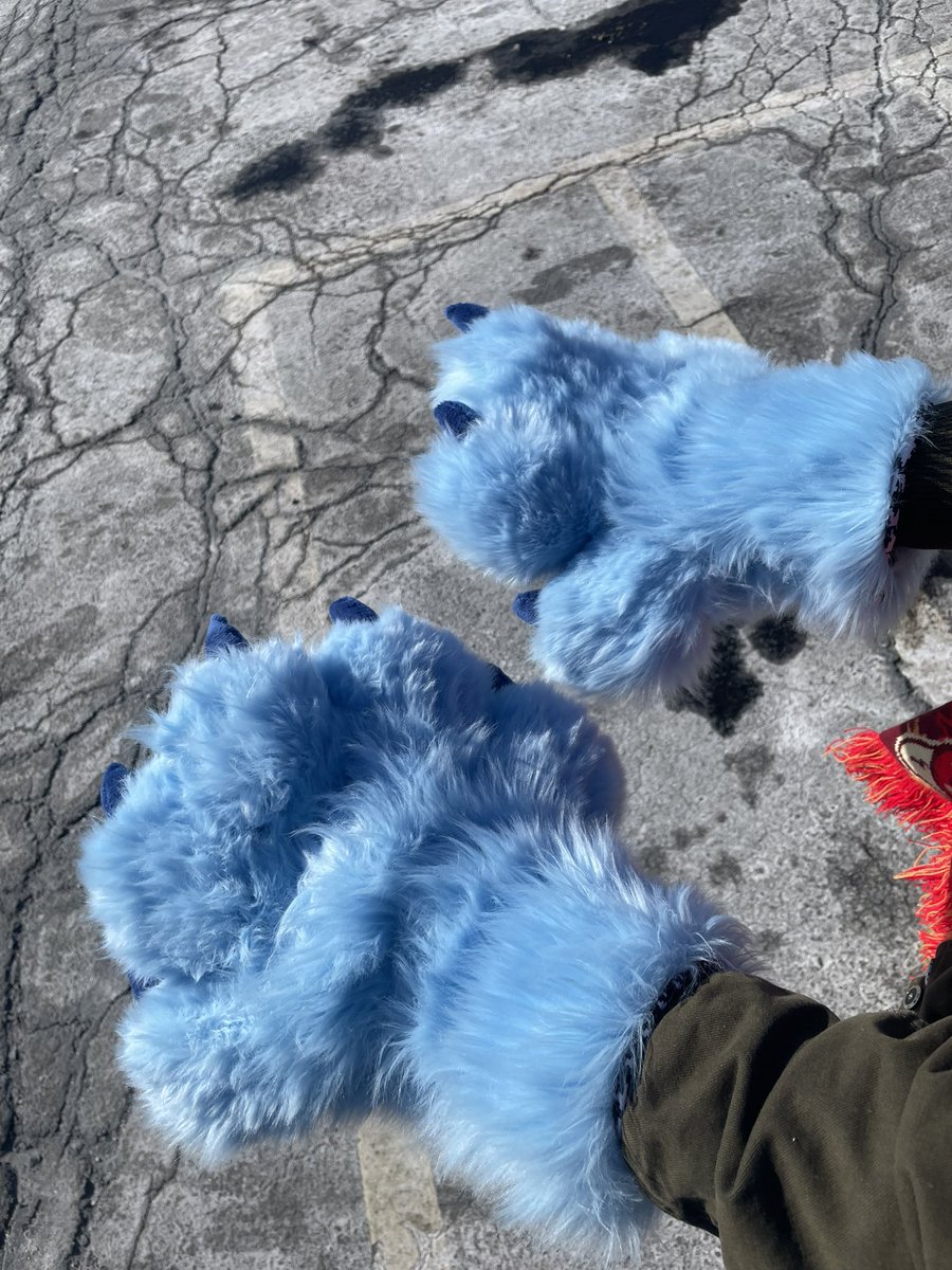 opossumcraft's tweet photo. The five finger paws are now finally home! 💙 https://t.co/fOAxlIxgvw