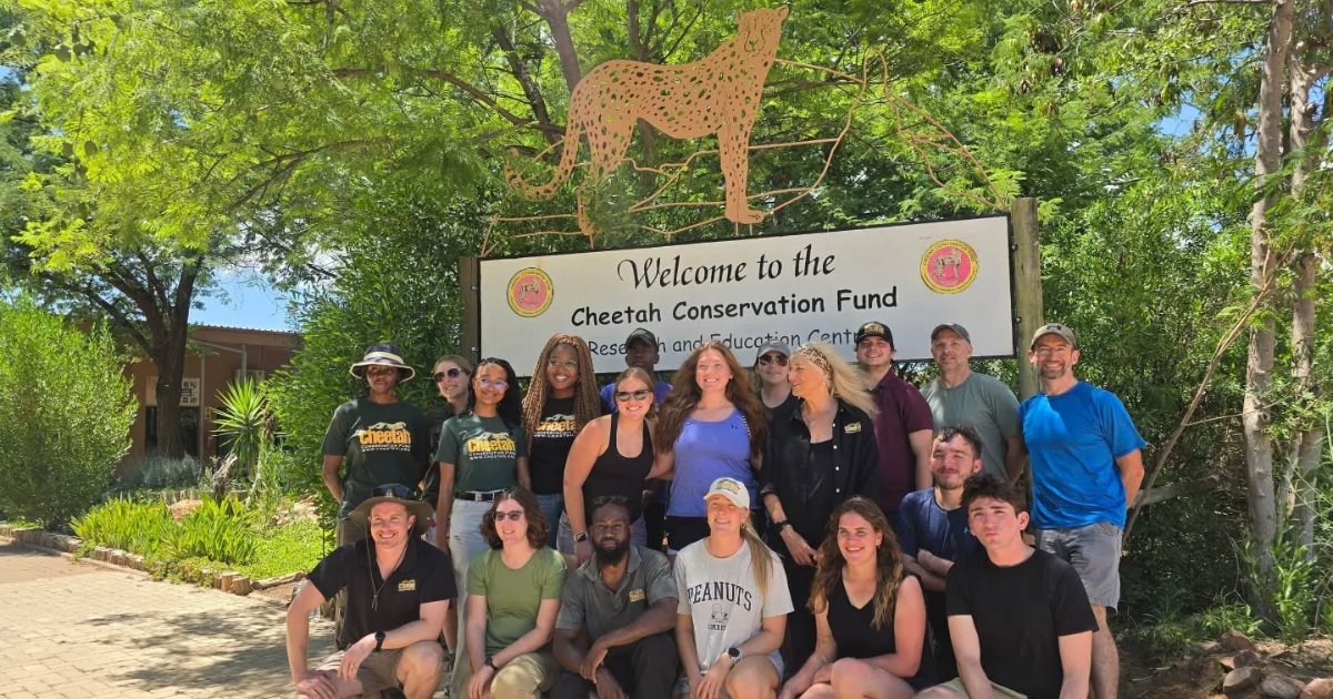 Saint Francis U tweet media