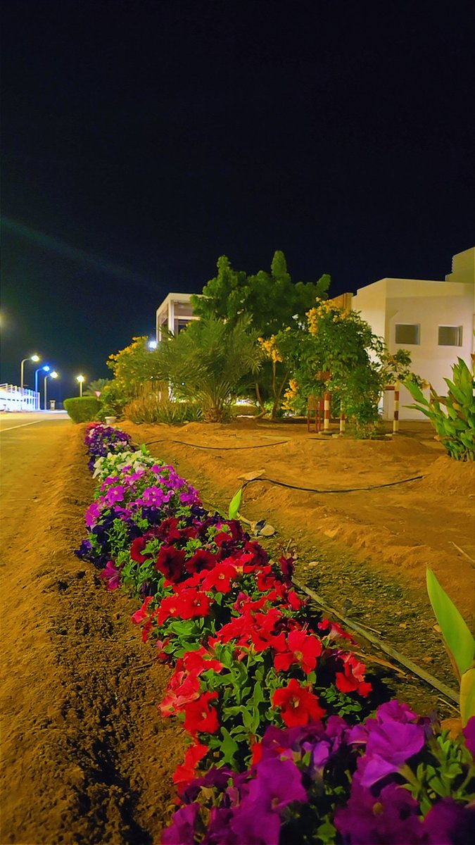 "لو عُرضَت الأقدَار على الإِنسان لاخْتار القَدر الَّذي اخْتاره اللّه لَه"

- عمر بن الخطاب