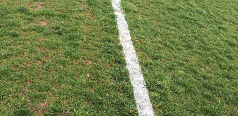 Advanced Sports Turf tweet media