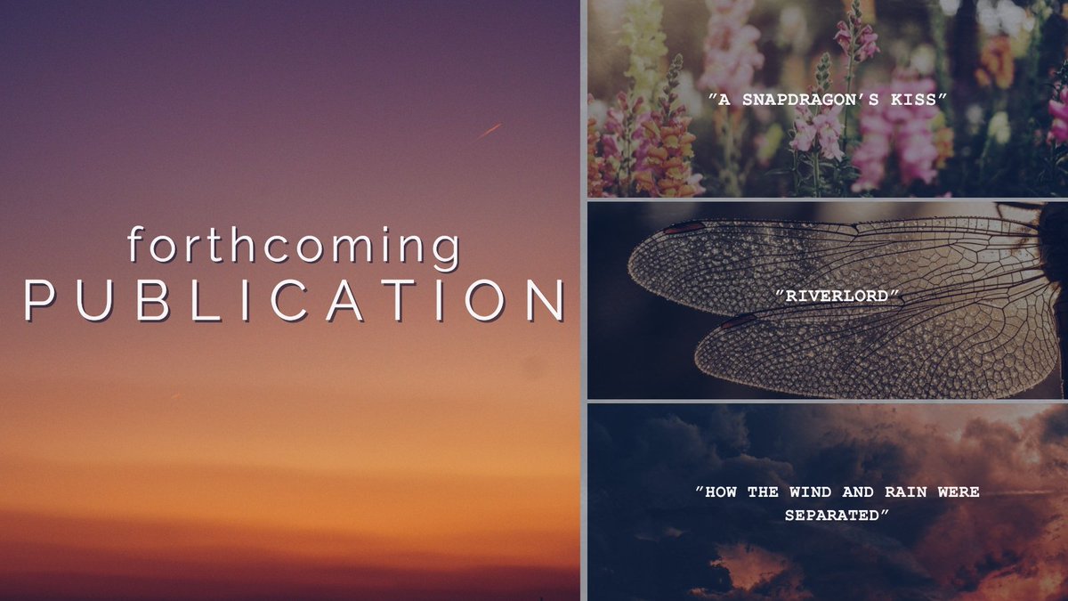 Anna Madden tweet media