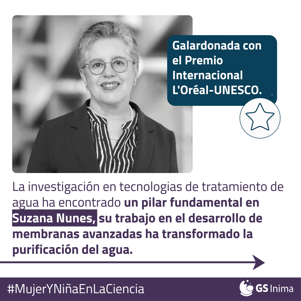 GS Inima Environment tweet media