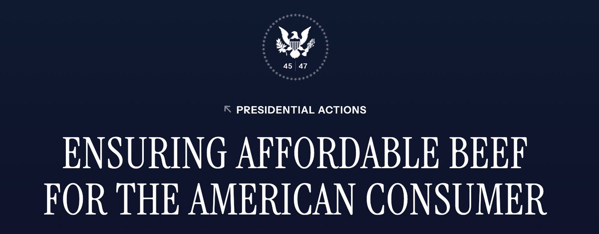 The Regenaissance tweet media