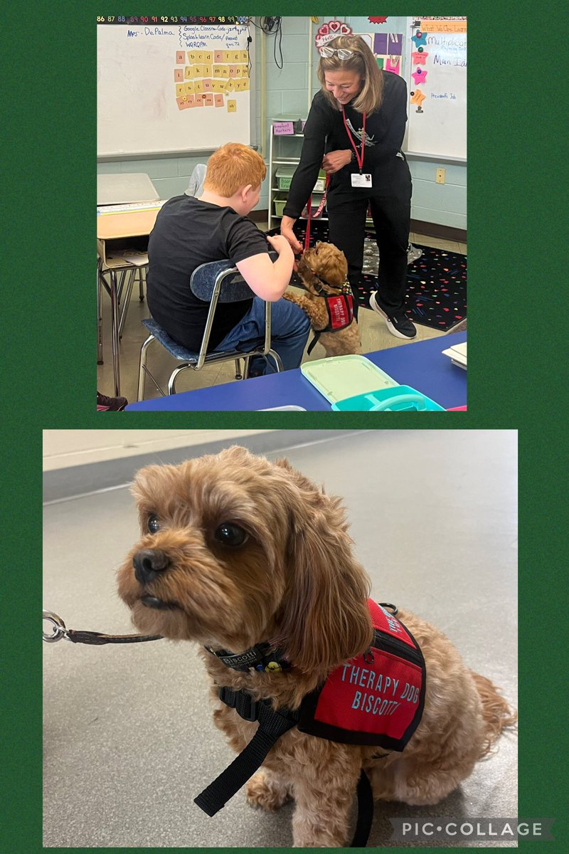 VMESMustangs tweet media