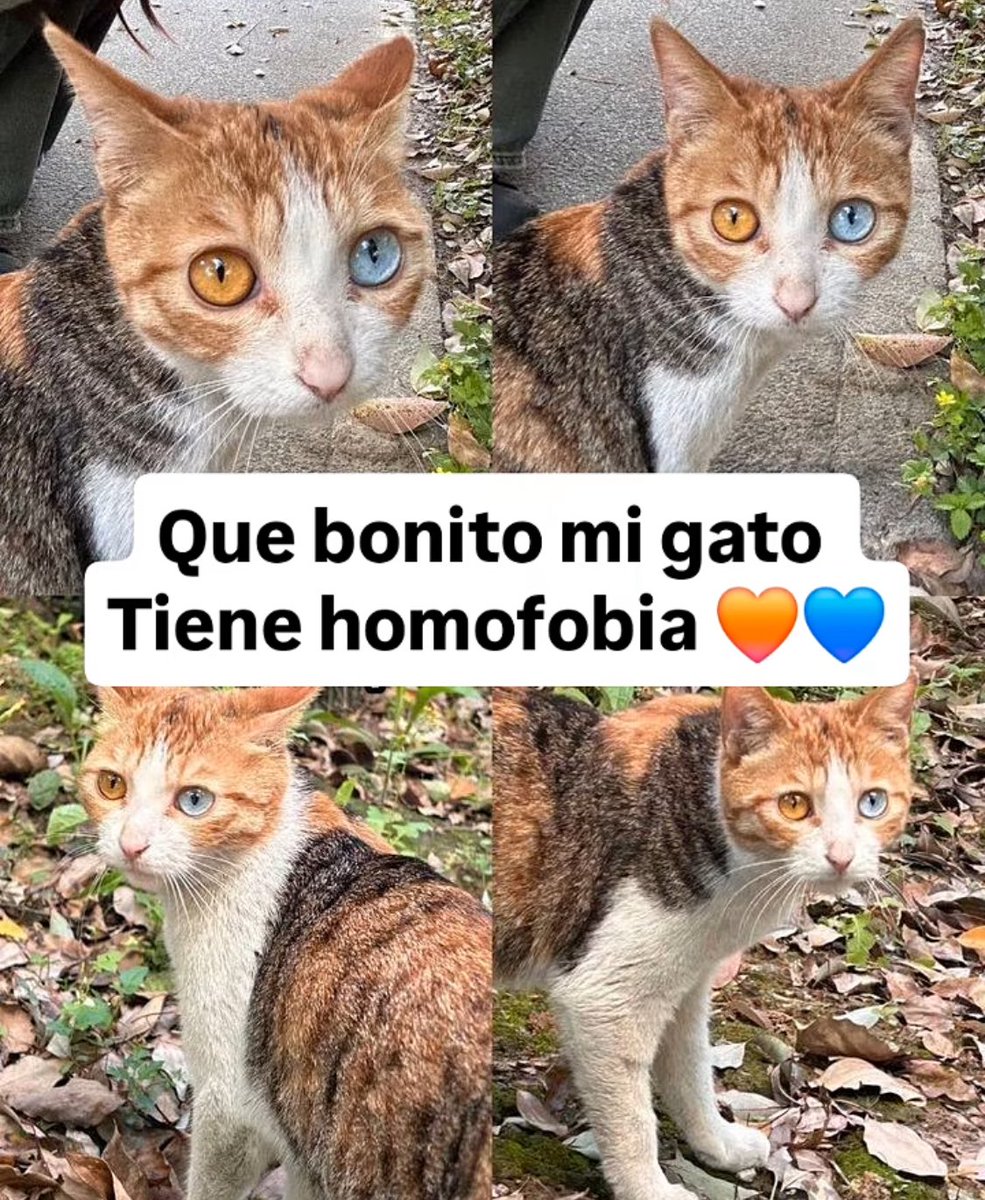 BFrog__'s tweet image. 