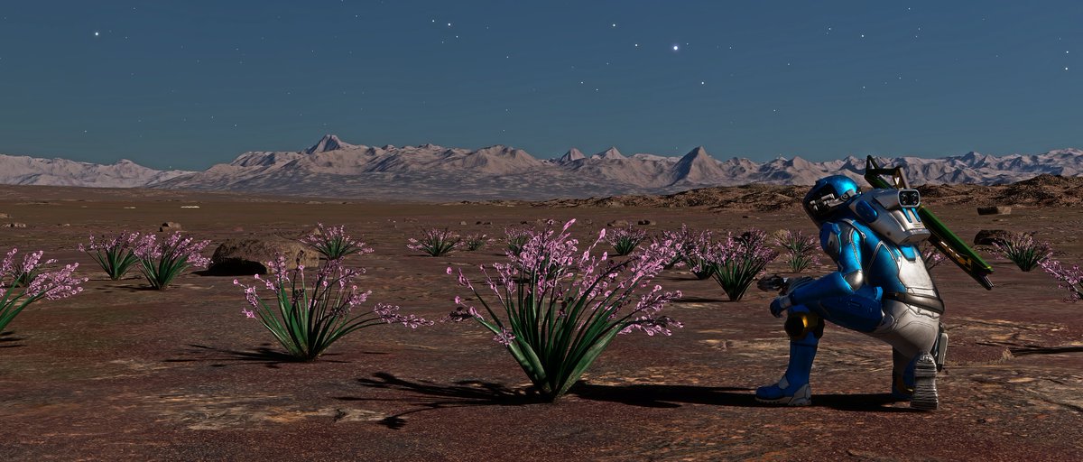 CMDR XpressioN tweet media