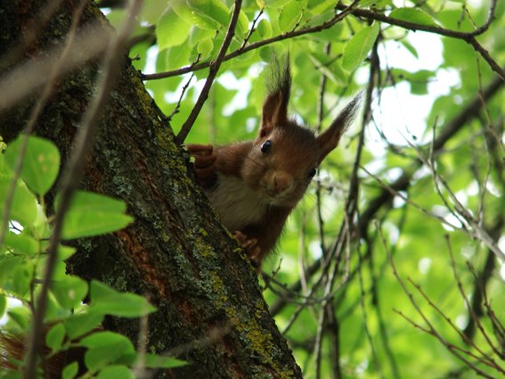 Manuel Hernández Fernández tweet media