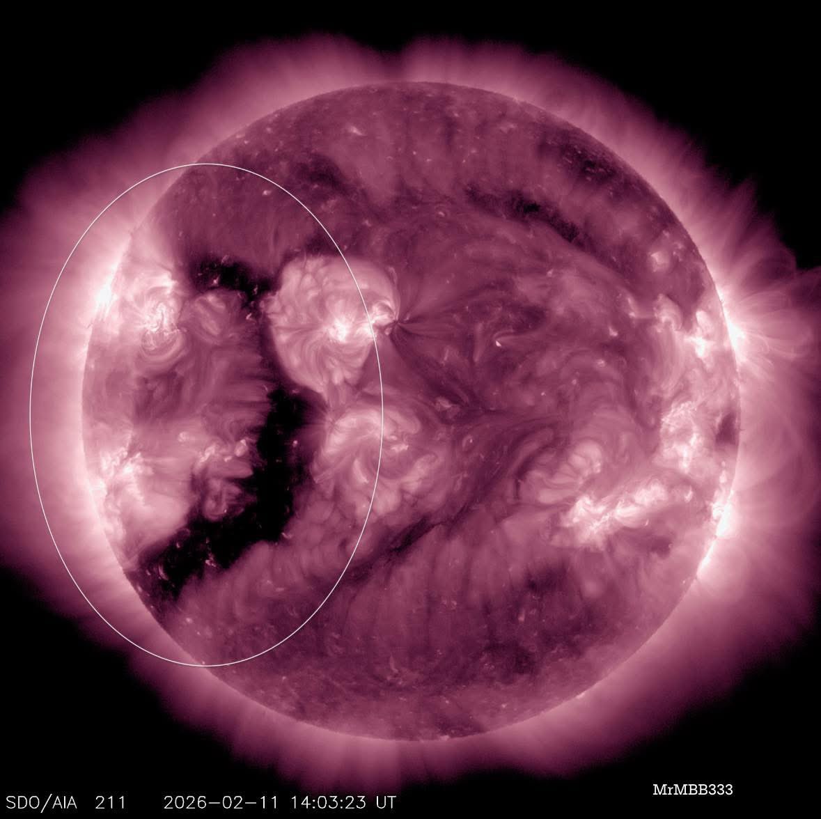 MrMBB333's tweet photo. CORONAL HOLE EXPANDS — DARKER AND DEEPER IN 24 HOURS

This opening didn’t just hold — it grew.

Over the past day the coronal hole widened, darkened, and became more vertically elongated, signaling further magnetic opening.

Coronal holes are escape channels for high-speed solar wind.

This one sits near the solar equator.

When they deepen like this, elevated solar wind often follows.

Position matters — and this one is rotating toward Earth.

Watching closely.

#SolarWatch #SpaceWeather #MrMBB333