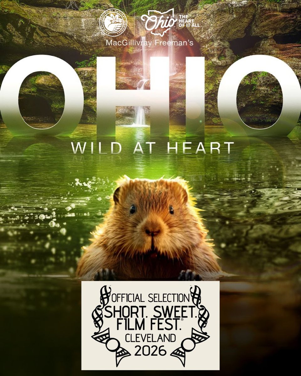 MacGillivray Freeman tweet media