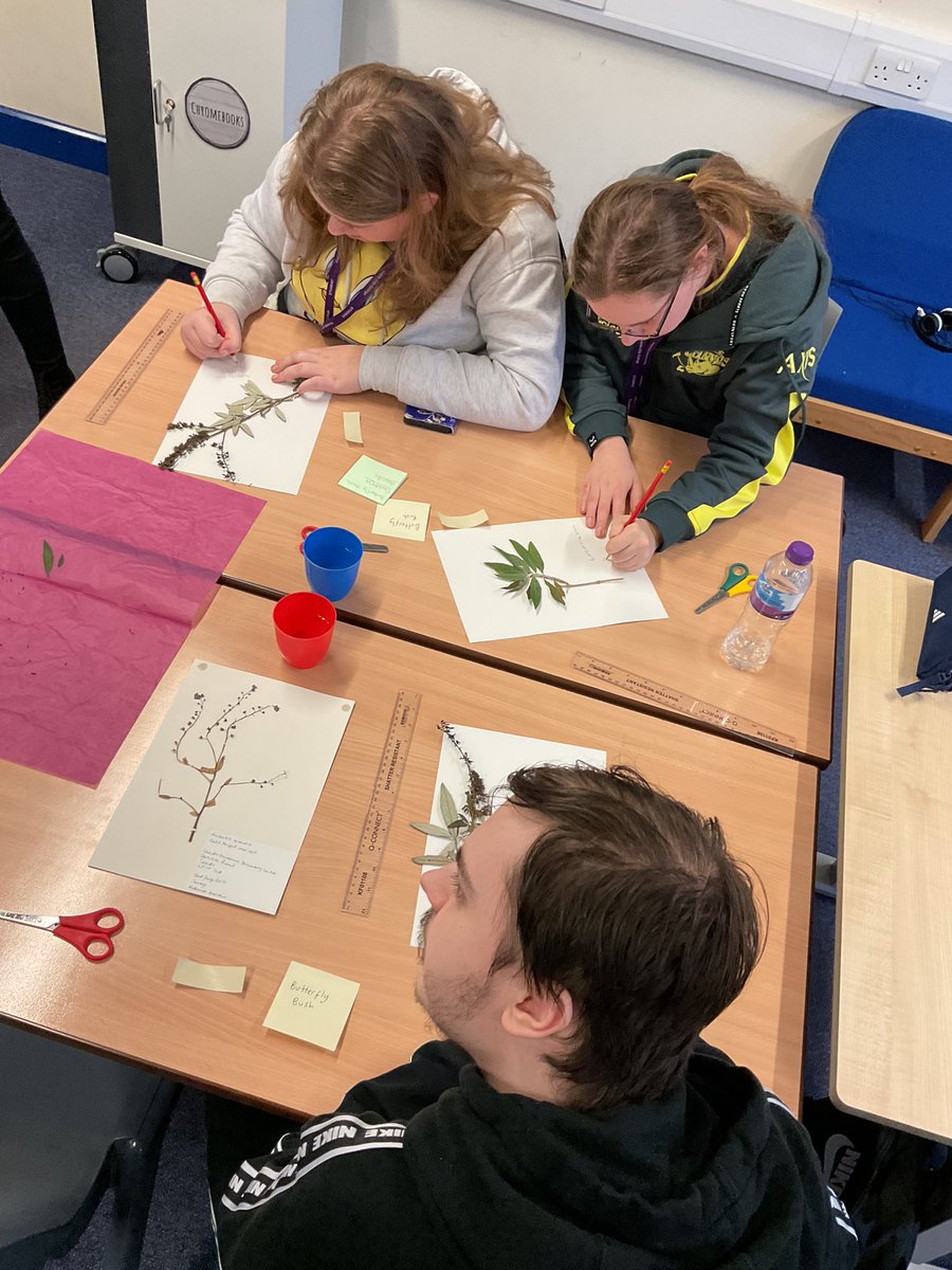 Foundation Studies tweet media