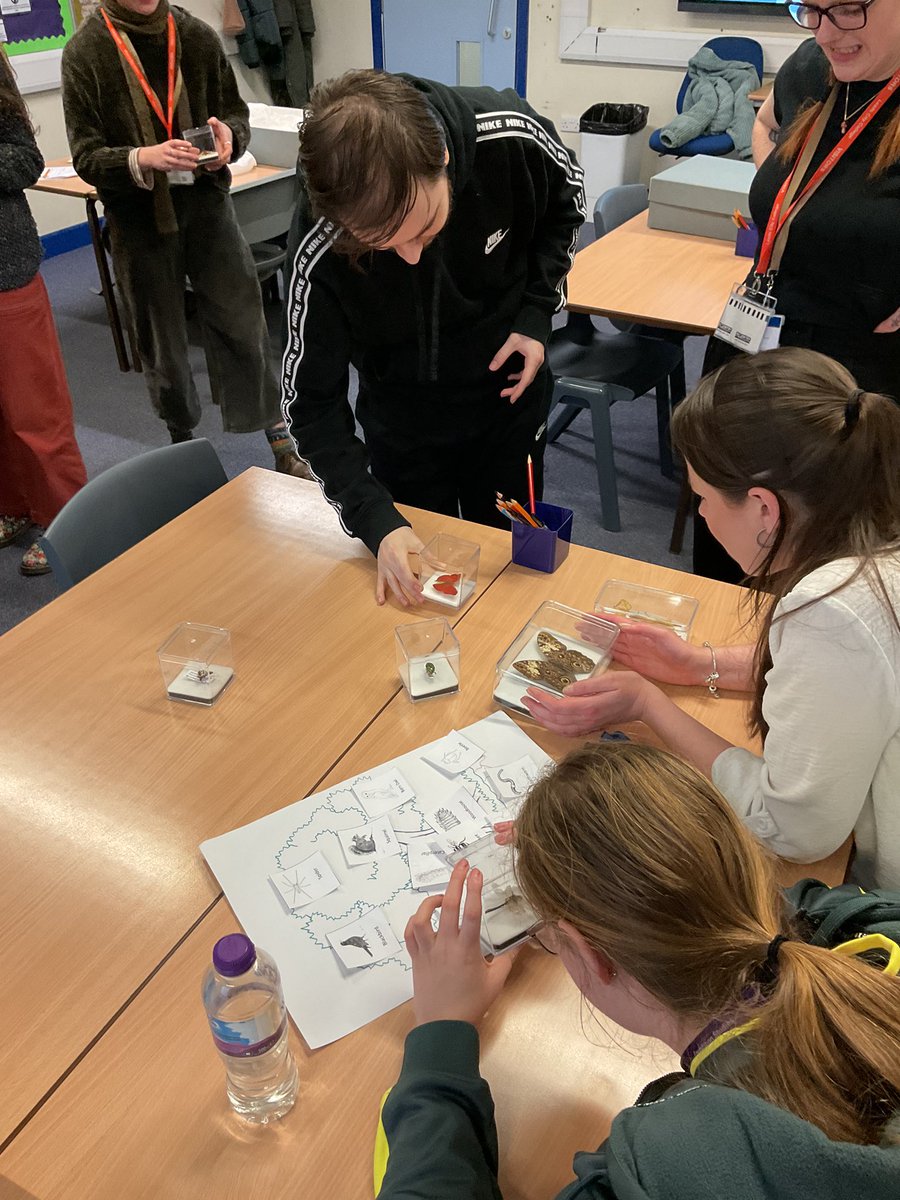 Foundation Studies tweet media