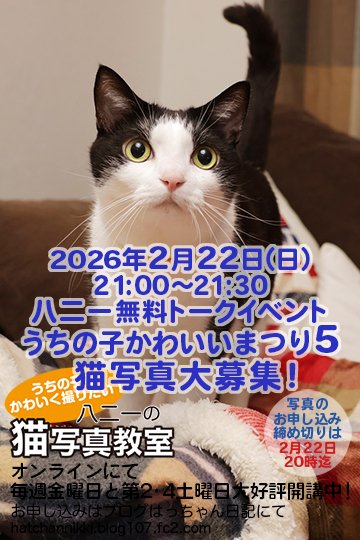 八二一 (@hanihajime) / Posts / X