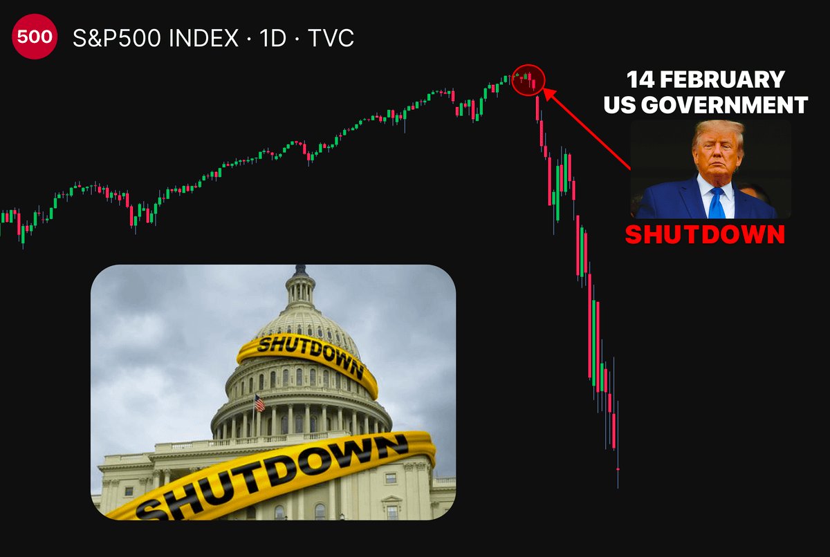 philarekt tweet media