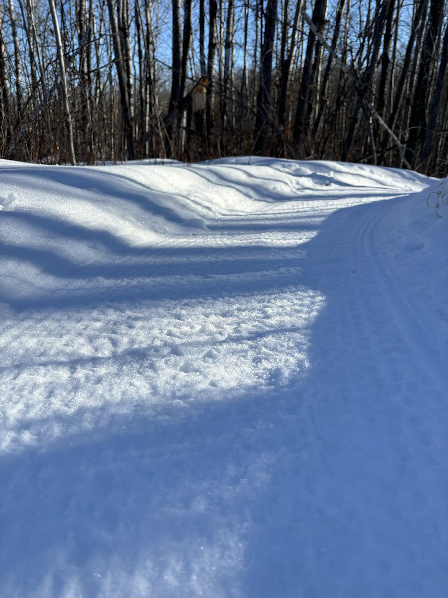 Please be advised that the sun and warm weather will be hard on the trails causing soft spots that probably will be hard to repair. With our up and coming race, Fat Forest Fourteen, we ask that you only ride when the trails are sub freezing. As usual, the haul roads are open.