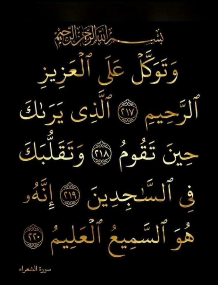 أبواسماعيل يوسف tweet media