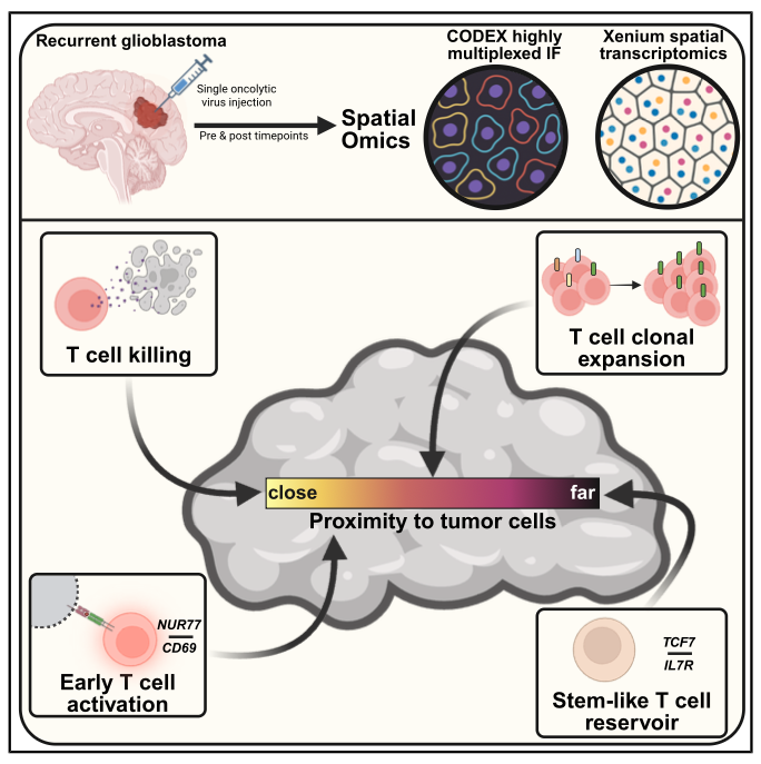 Maxime Meylan tweet media