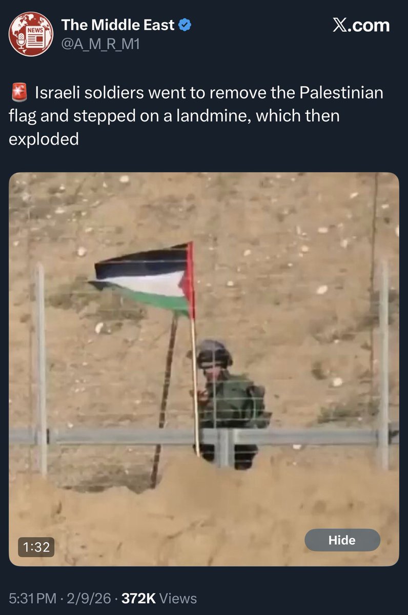 ape attack survivor tweet media