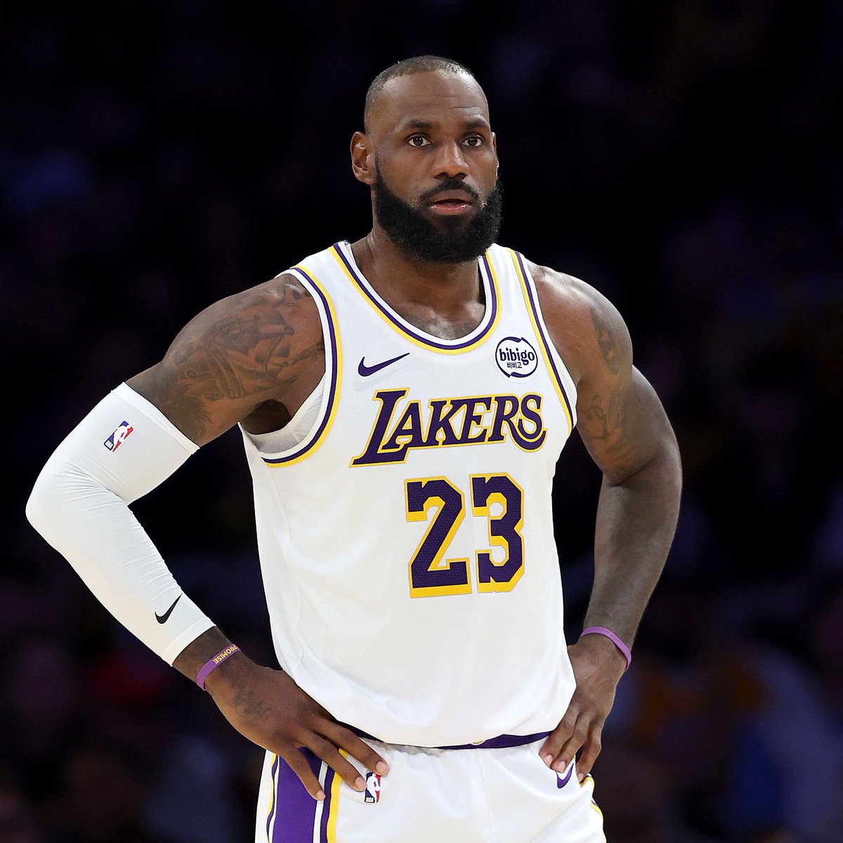 Legion Hoops tweet media