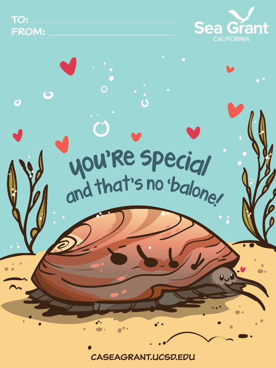 California Sea Grant tweet media