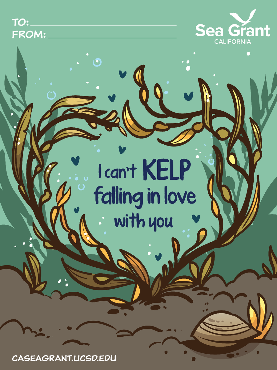 California Sea Grant tweet media